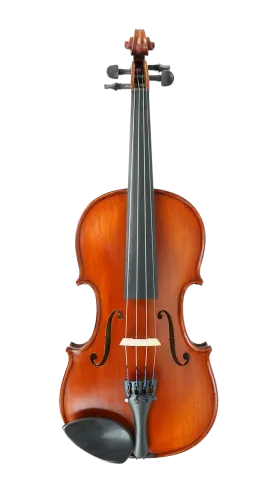 Gliga I Violin Outfit with Dark Antique Varnish 4/4