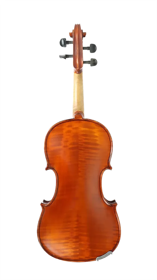 Gliga I Violin Outfit with Dark Antique Varnish 4/4